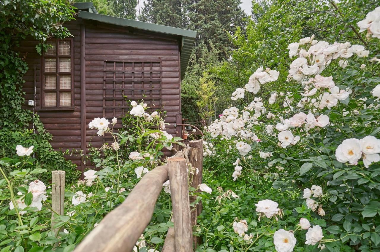 Forest Lane Clarens Exterior foto